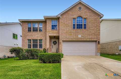 3809 Tailfeather Drive, Round Rock, TX 78681