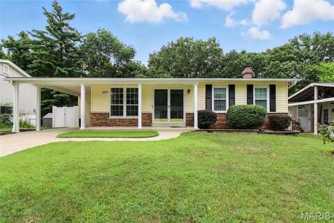 1837 San Luis Rey Parkway, Fenton, MO 63026