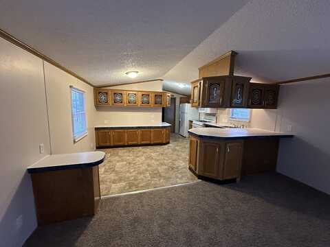 4245 W. Jolly Rd. Lot #244, Lansing, MI 48911