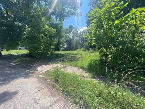1342 N 41st Street, East Saint Louis, IL 62204