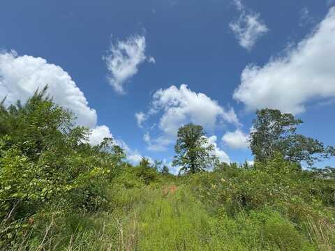 0 Off Hutson Morris Rd, Columbia, MS 39429