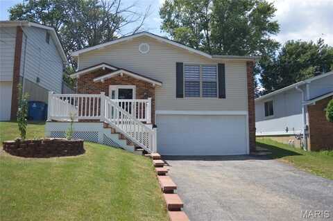 9959 Meadow Avenue, Saint Louis, MO 63125