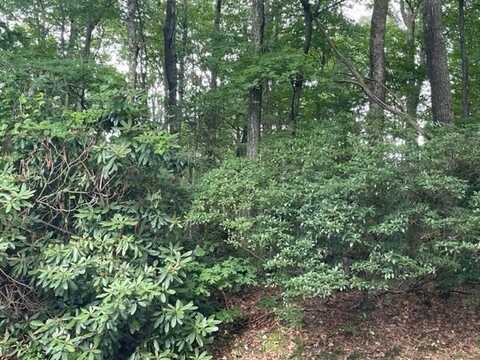 Tbd Dogwood Trail, Hillsville, VA 24343