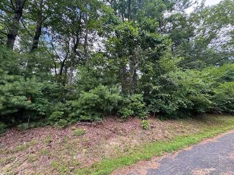 Tbd Antler Point, Hillsville, VA 24343