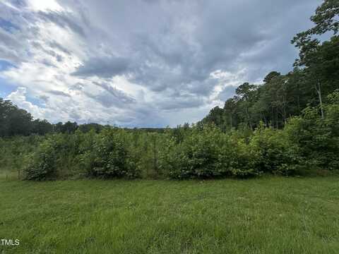 Lot 17 Crown Oaks Drive, Oxford, NC 27565