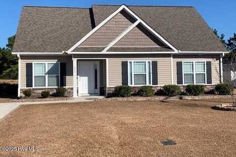 217 Asheberne Drive, Washington, NC 27889