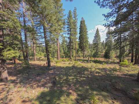11349 China Camp Road, Truckee, CA 96161