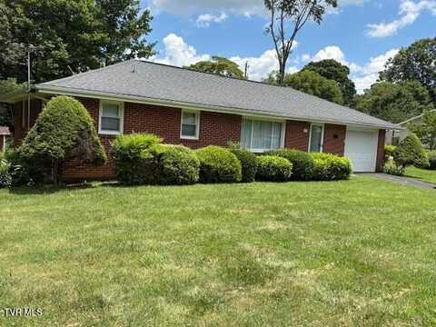 722 Rose Lane, Mount Carmel, TN 37645