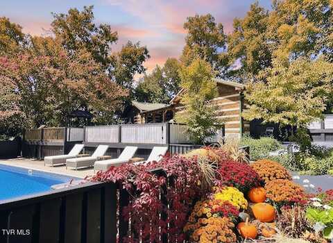 2169 Ranch Road, Dandridge, TN 37725