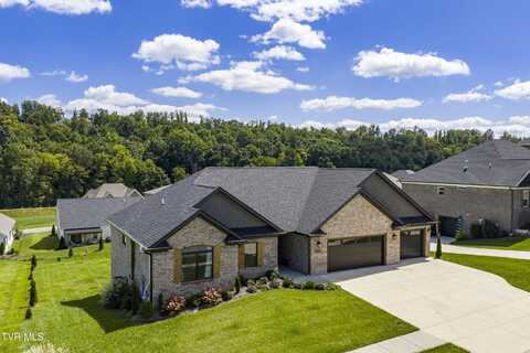 1157 Brumit Fields, Johnson City, TN 37615