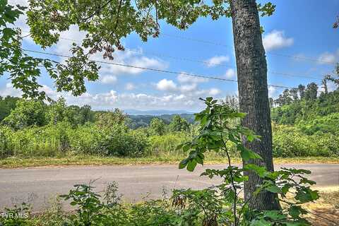Tract 2r Payne Ridge Road, Church Hill, TN 37642