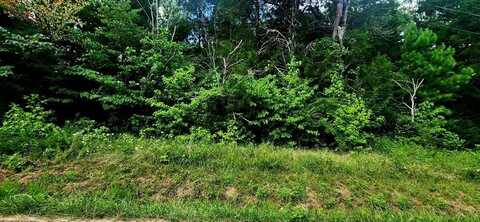 Cedar drive, CAMDEN, TN 38320