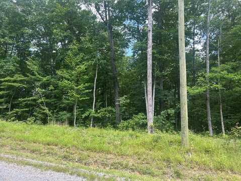 108 Liverpool Cir, CROSSVILLE, TN 38558