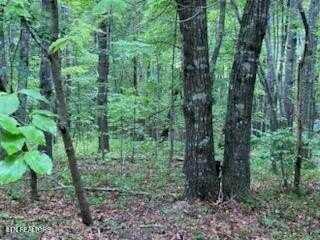 18 Golden Ct., Fairfield Glade, TN 38558