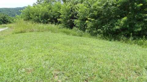 Lot 17D Crappie Lane, Hilham, TN 38562