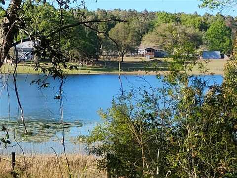 S LAKE HIAWATHA DRIVE, LADY LAKE, FL 32159