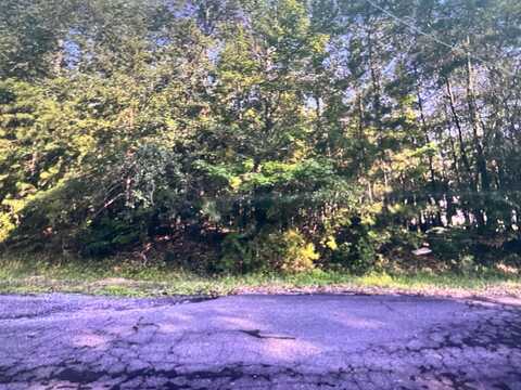 WOODLAND Cir, Jasper, AL 35504