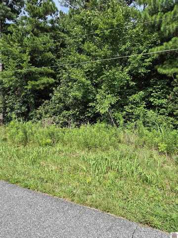Lot# 274 Hawkeye Drive, Gilbertsville, KY 42044