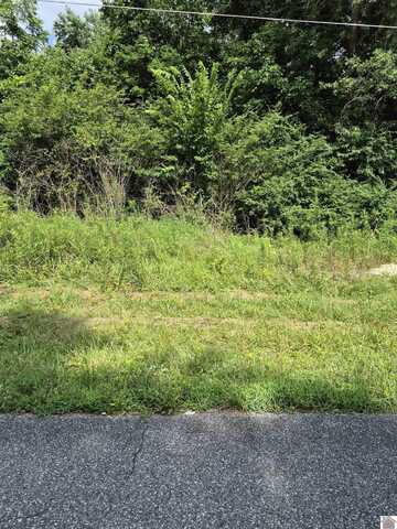 Lot#298 Southwood Drive, Gilbertsville, KY 42044