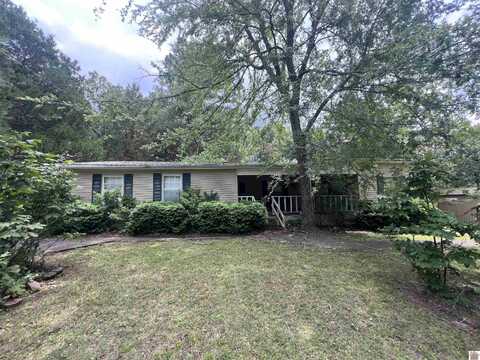 85 Buddy Ln, Murray, KY 42071