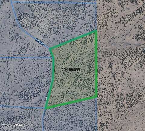 Lot 99 Woodland Valley Ranch, Saint Johns, AZ 85936