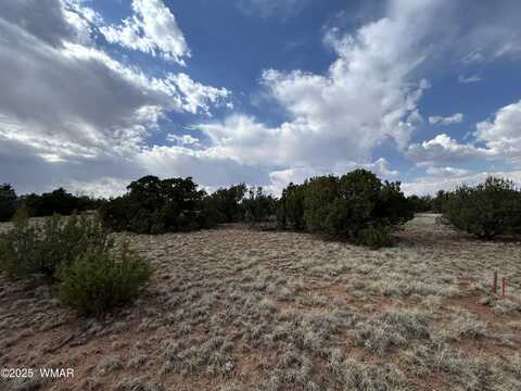 291 County Rd 8052, Concho, AZ 85924