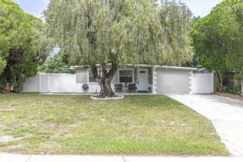 10633 RAFFIA DRIVE, PORT RICHEY, FL 34668