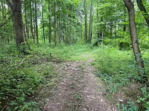 3+ /- Acres On 3+ /- Acres on PHELPS Road, Kent, PA 16424