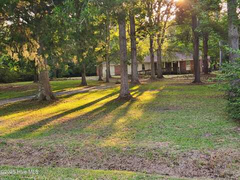 1521 Oakley Road, Castle Hayne, NC 28429