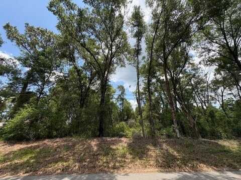 1132 CLOVER TERRACE, INVERNESS, FL 34452