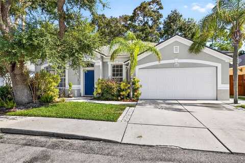 8853 CYPRESS HAMMOCK DRIVE, TAMPA, FL 33614
