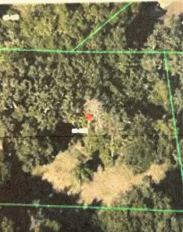6641 POPE ROAD, ORLANDO, FL 32810