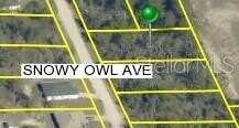0 SNOWY OWL AVENUE, BROOKSVILLE, FL 34614