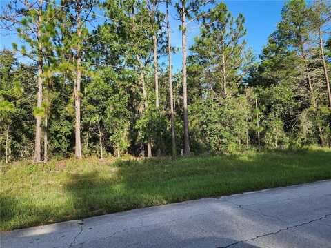 Tbd SW 35TH TERRACE, OCALA, FL 34473
