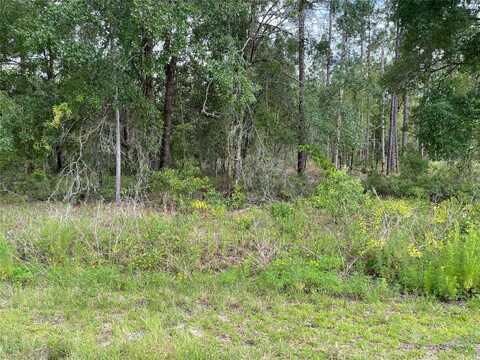 Lot 3 NW FALCON AVENUE, DUNNELLON, FL 34431