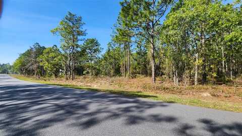 Tbd CR 243B, WILDWOOD, FL 34785