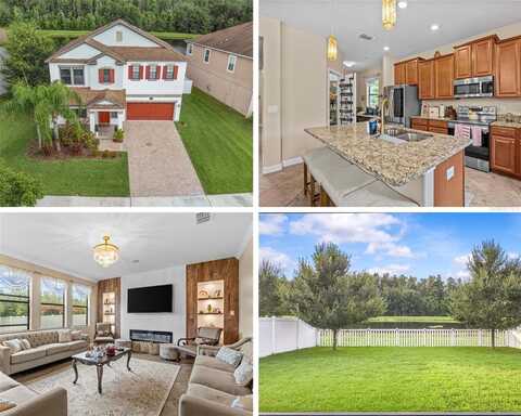 19418 PADDOCK VIEW DRIVE, TAMPA, FL 33647