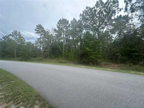 2223 CR 243F, WILDWOOD, FL 34785