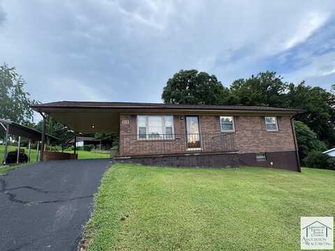 319 Maple Ridge Rd, Bassett, VA 24055