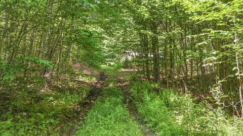 359 Bear Cub Lane, Lake Placid, NY 12946
