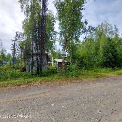15854 E Greenleaf Drive, Talkeetna, AK 99676