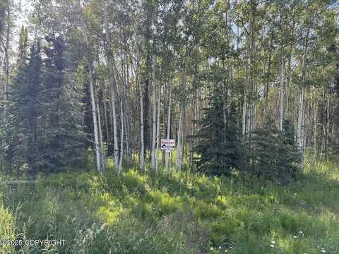 8b1 Lake Road, Soldotna, AK 99669
