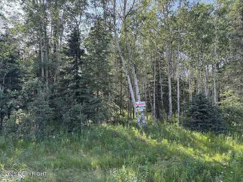 8a2 Lake Road, Soldotna, AK 99669