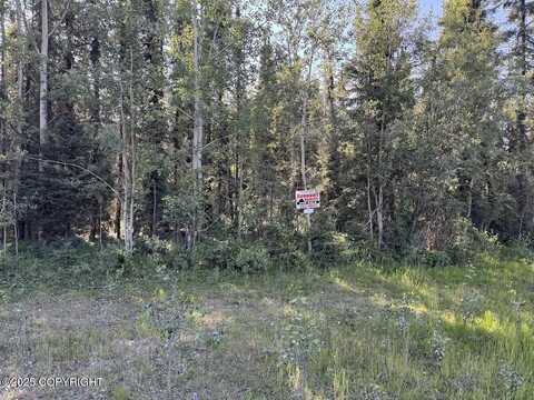8c1 Lake Road, Soldotna, AK 99669