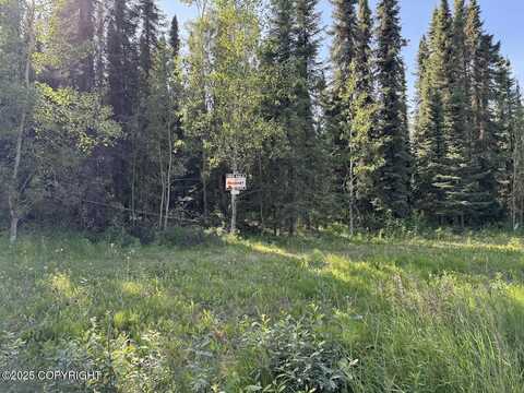 8c2 Lake Road, Soldotna, AK 99669