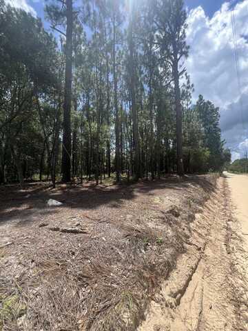 0 Cassie Road Road, Batesburg Leesville, SC 29006