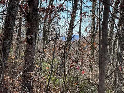 Lots Ash Branch View, HAYESVILLE, NC 28904