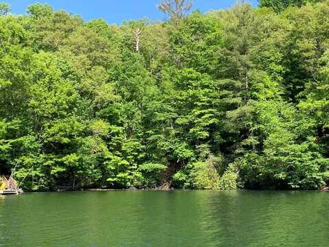 Lot# 18 Lakeshore Drive, NANTAHALA, NC 28781