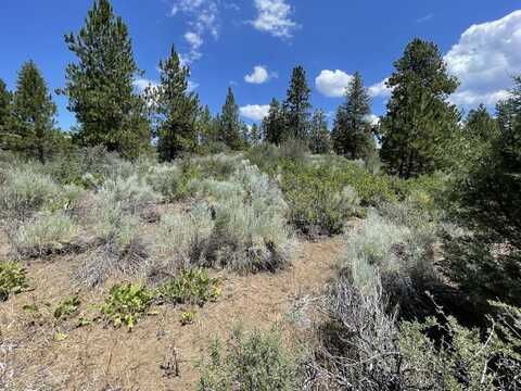 Legget Drive, Chiloquin, OR 97624