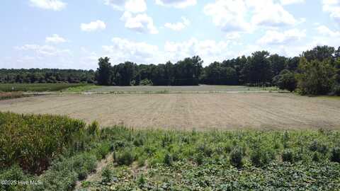 0 Suttontown Road, Faison, NC 28341